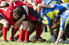 thumb_DSC_9528.JPG